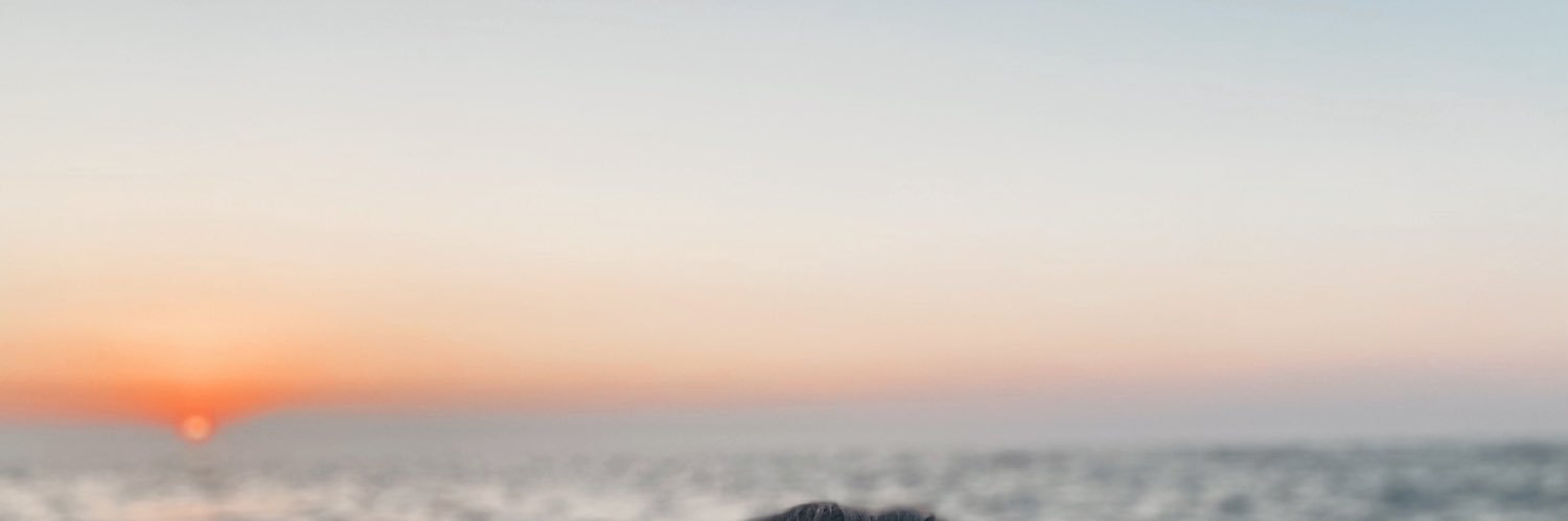pauulllssss's profile banner image