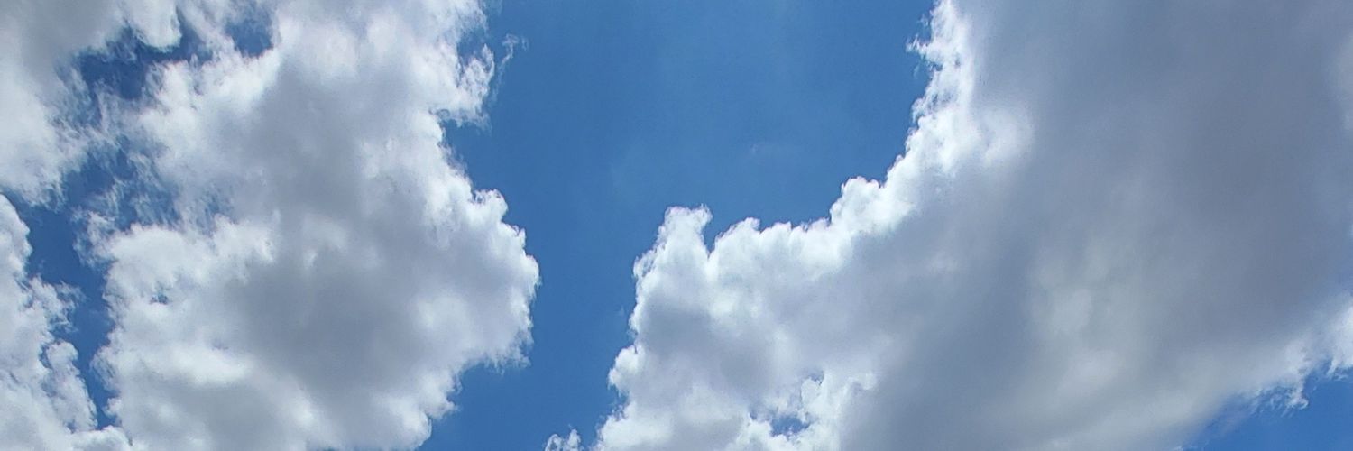 TheReal21Kid's profile banner image