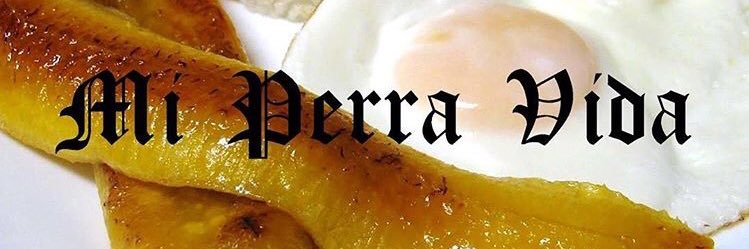 CHELLA 🪳 banner