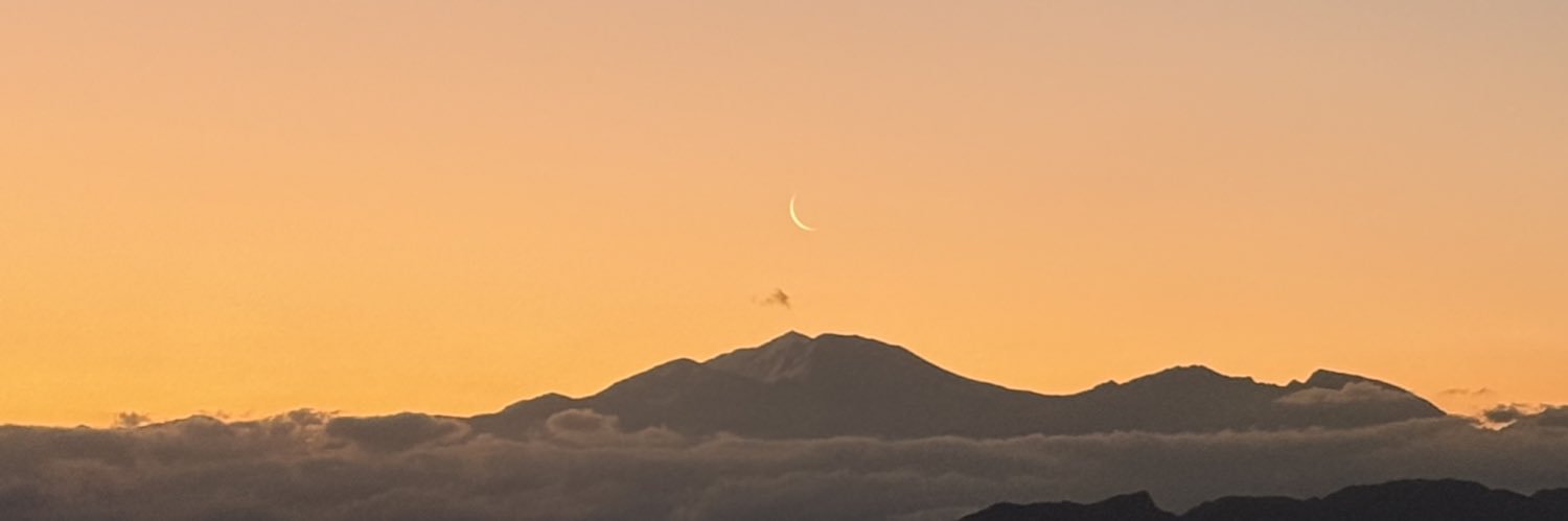 Paezmicaela's profile banner image