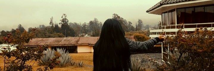 DanitArevalo's profile banner image