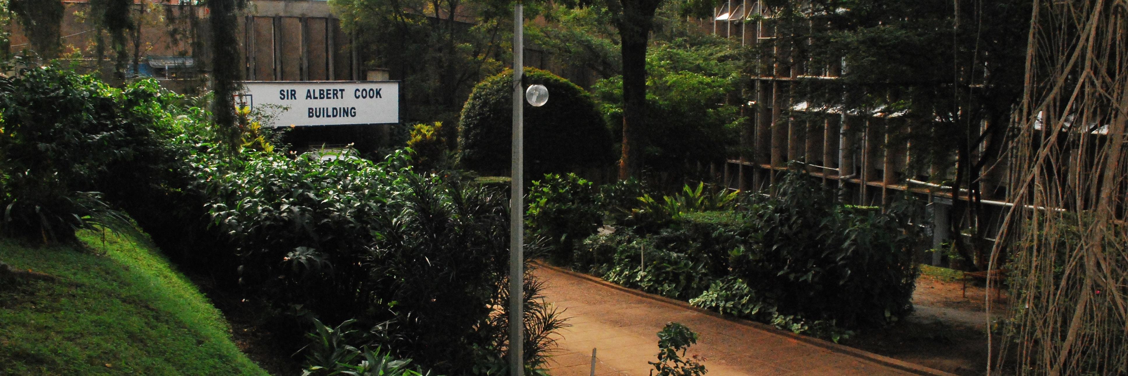 MengoHospital's profile banner image