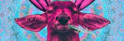 Cxos. banner