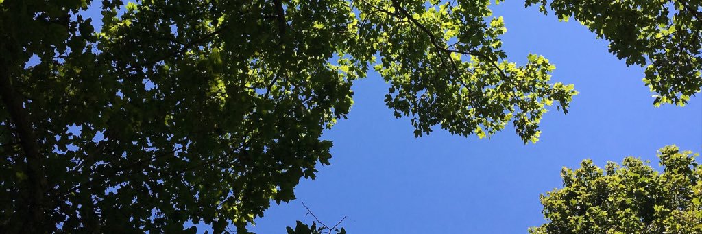 hannahkopp56's profile banner image