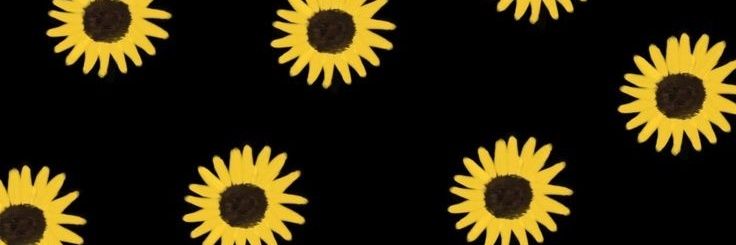 mmarinr19's profile banner image