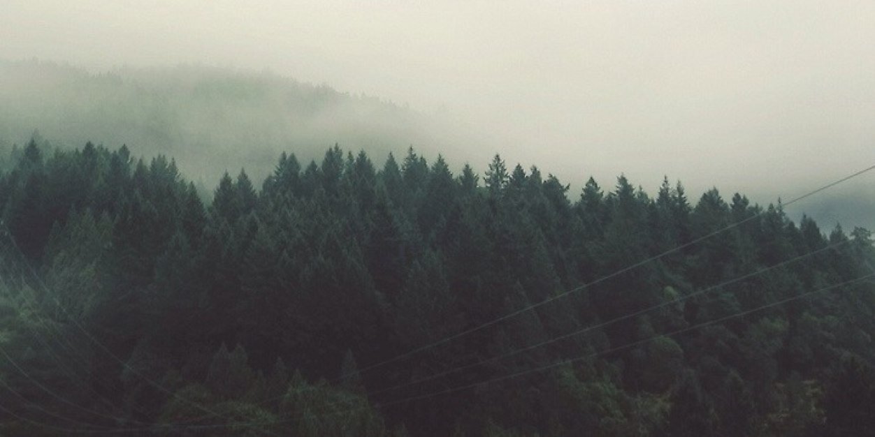 idioticnation's profile banner image