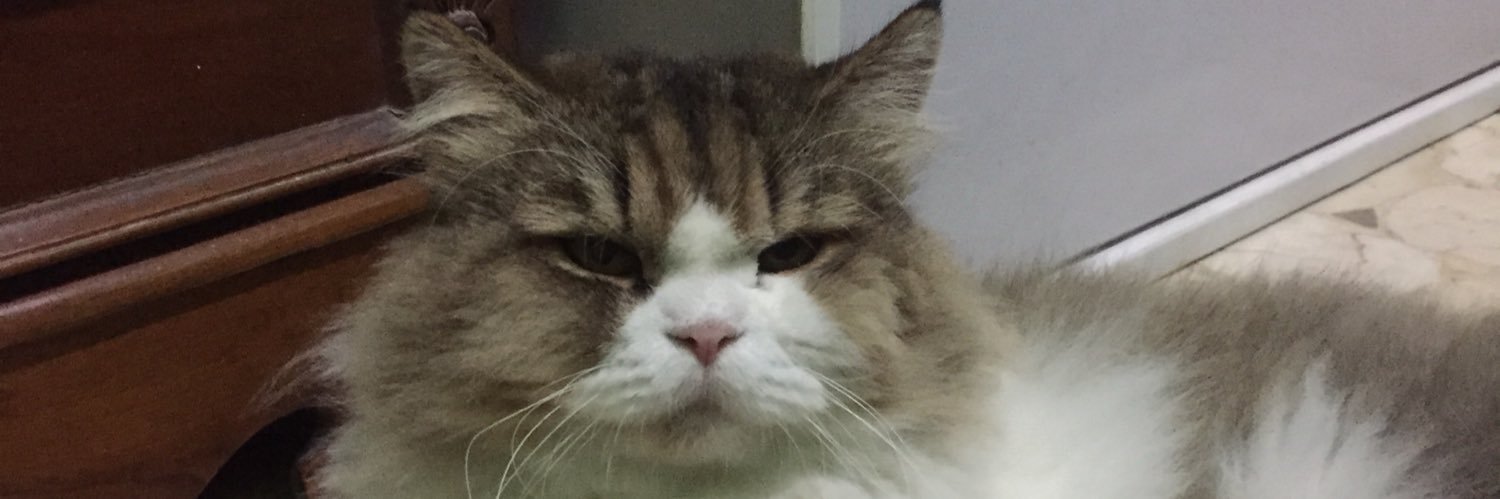 Dianislmt's profile banner image