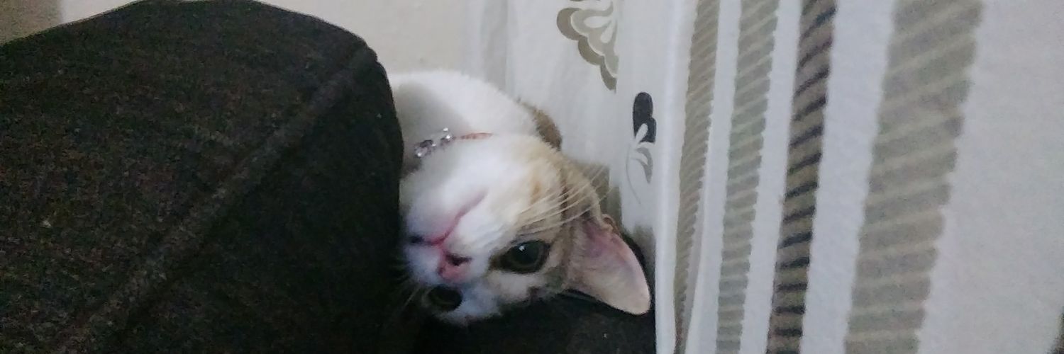 moema_liima's profile banner image