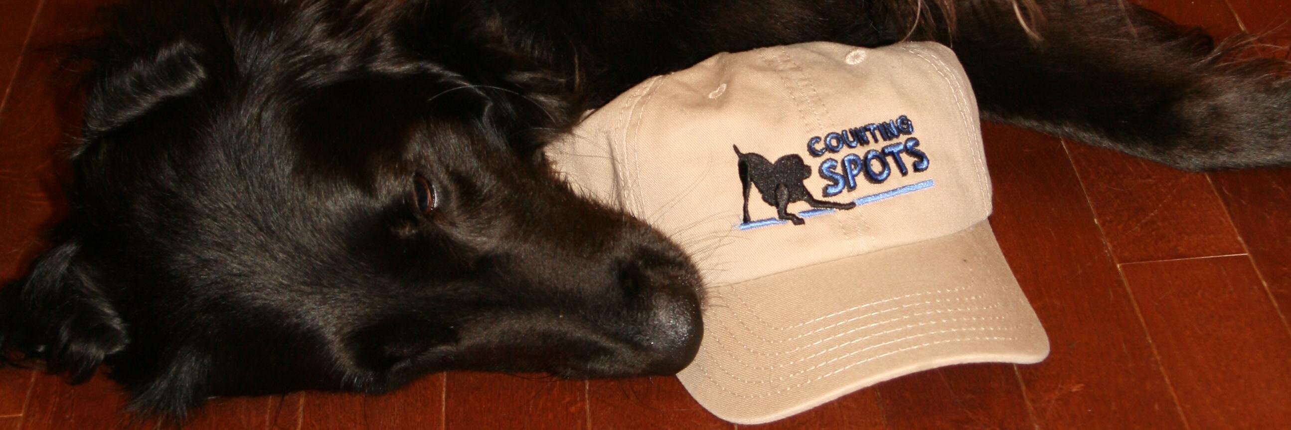 Counting Spots banner