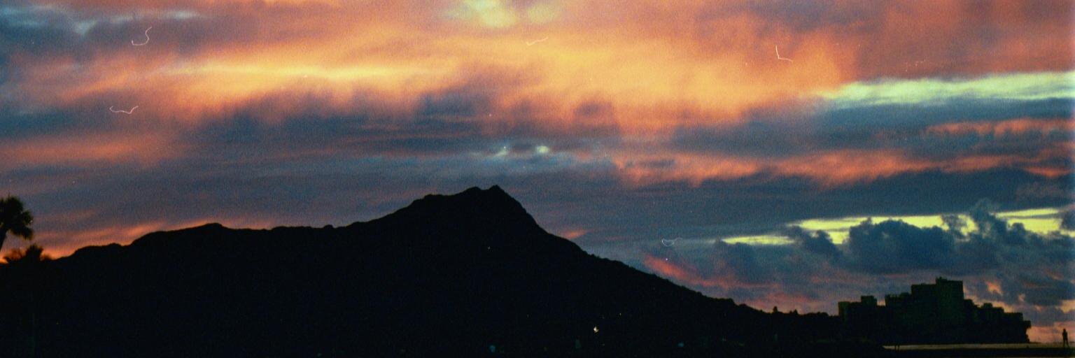 pattiannw's profile banner image