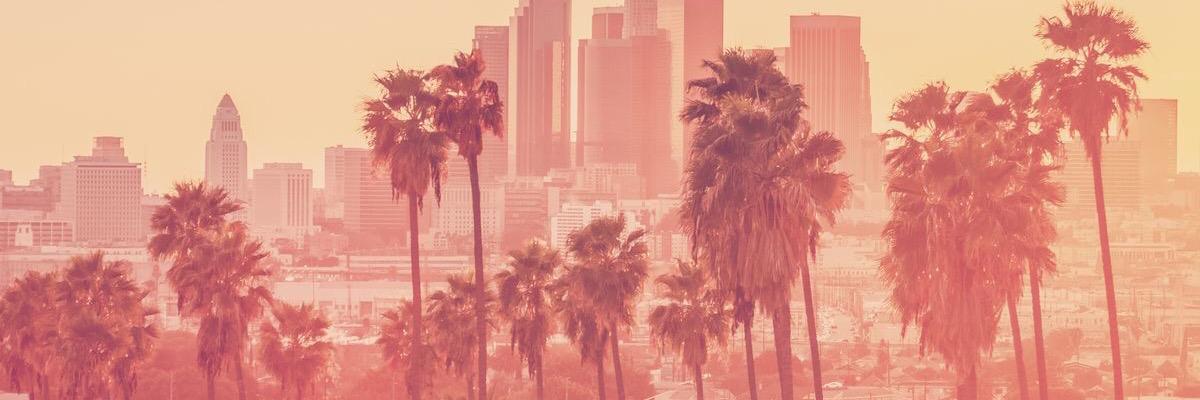 Dalilolli's profile banner image