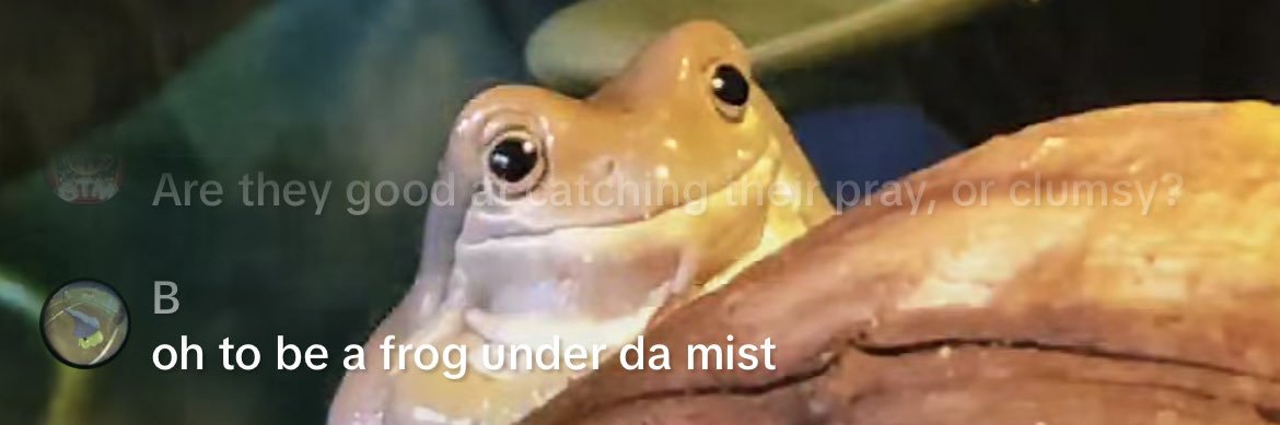 haleyyeileen's profile banner image