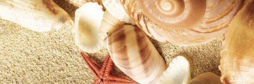 eukarolprates's profile banner image