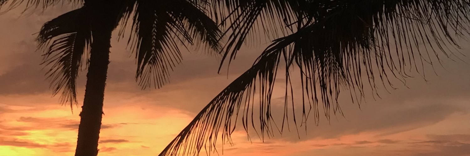 _NMQG's profile banner image