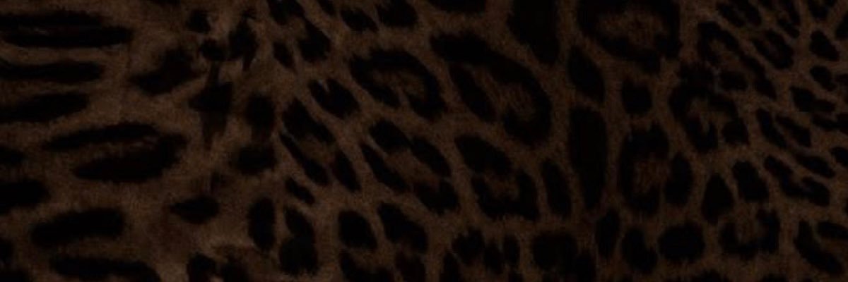 internet girlfriend❁ banner