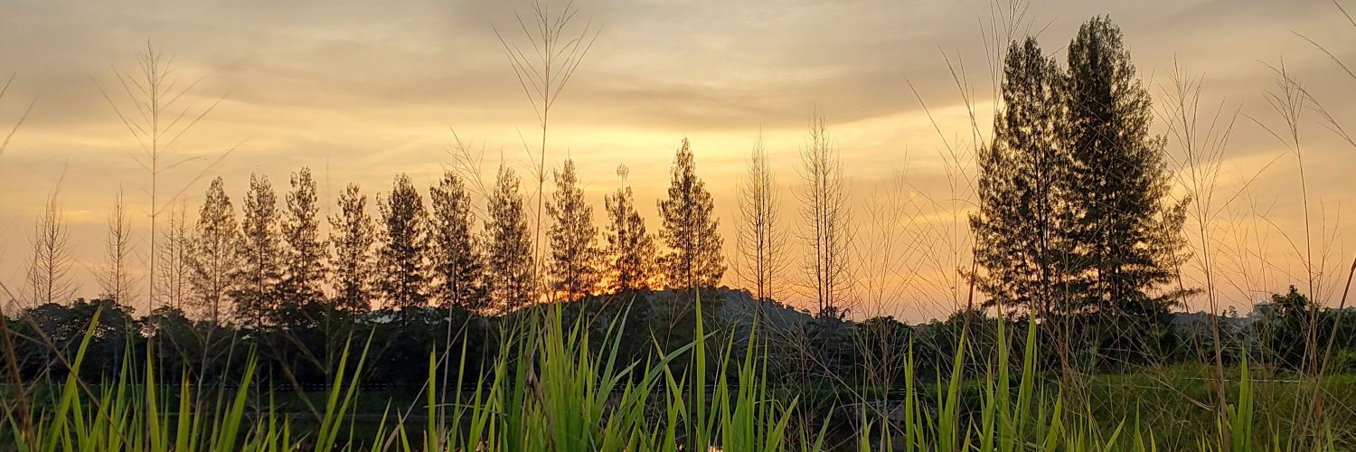 NelSern's profile banner image