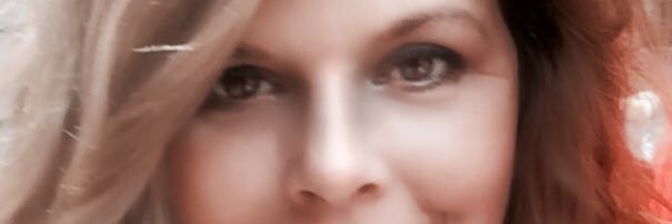 susansatterlee's profile banner image