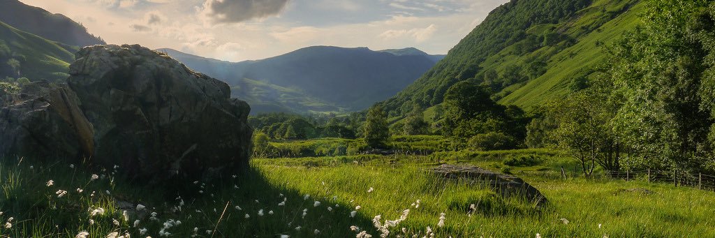 Letsepesh's profile banner image