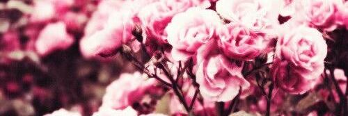 Brigittaa_'s profile banner image