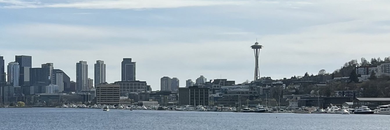 aroaamor10's profile banner image