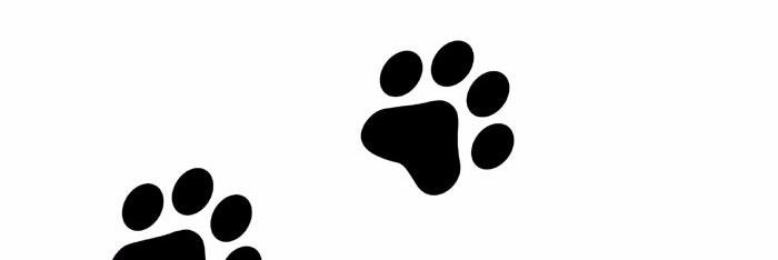 SamantaFont's profile banner image