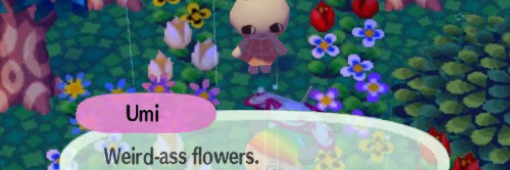 sharingcitrus's profile banner image