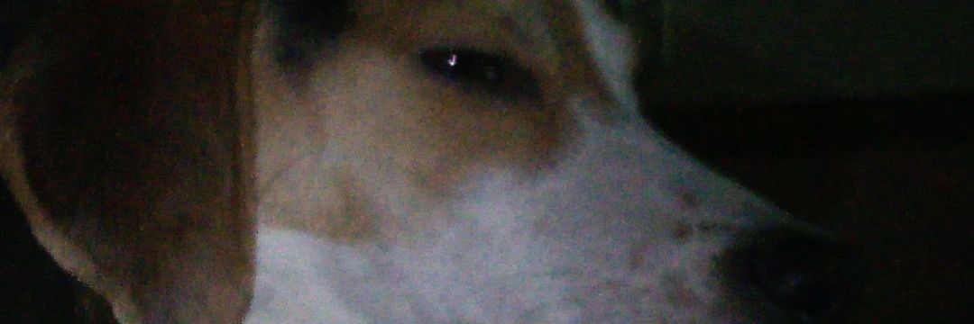XRobFinnX's profile banner image