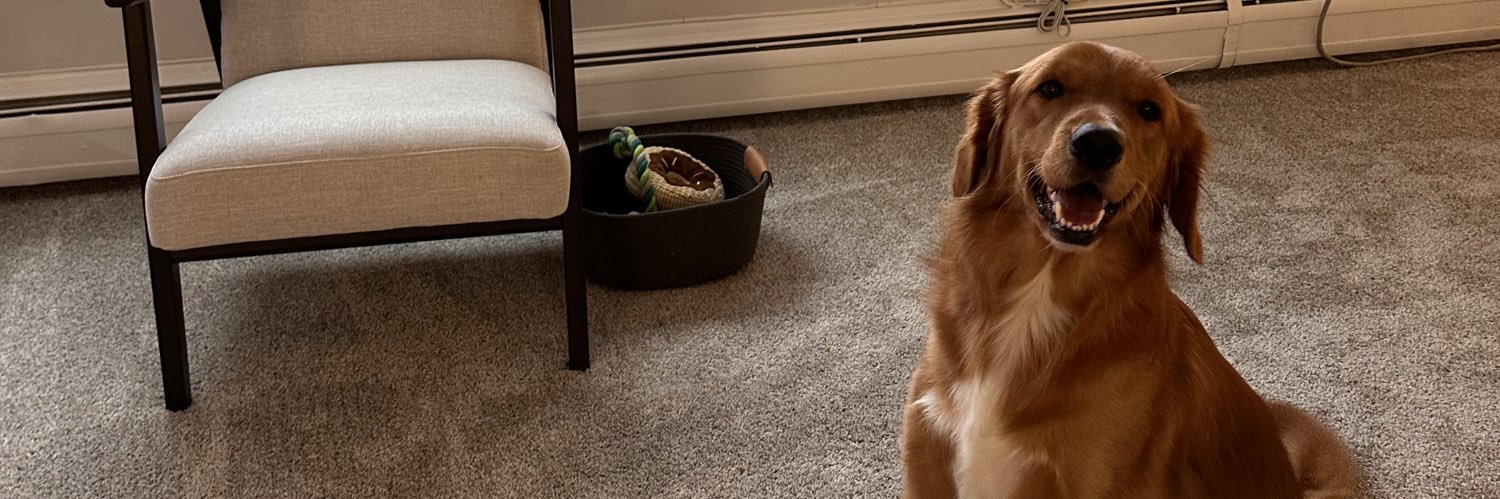 jennibecker_'s profile banner image