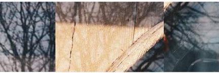 Four Nights Gone banner