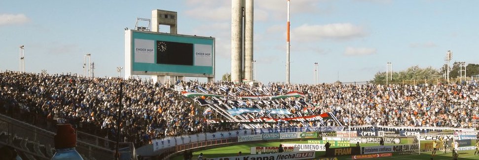 Micaela Piserchia banner