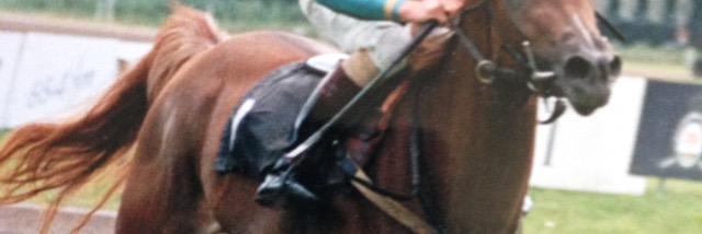 Anita Heilker banner