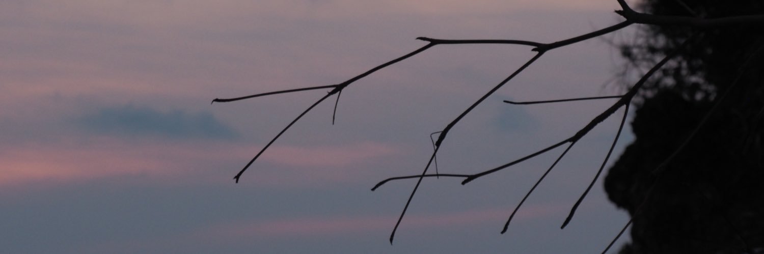 _msinn's profile banner image