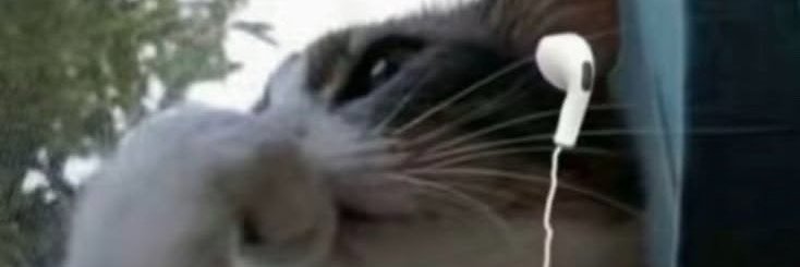 errpkno1's profile banner image