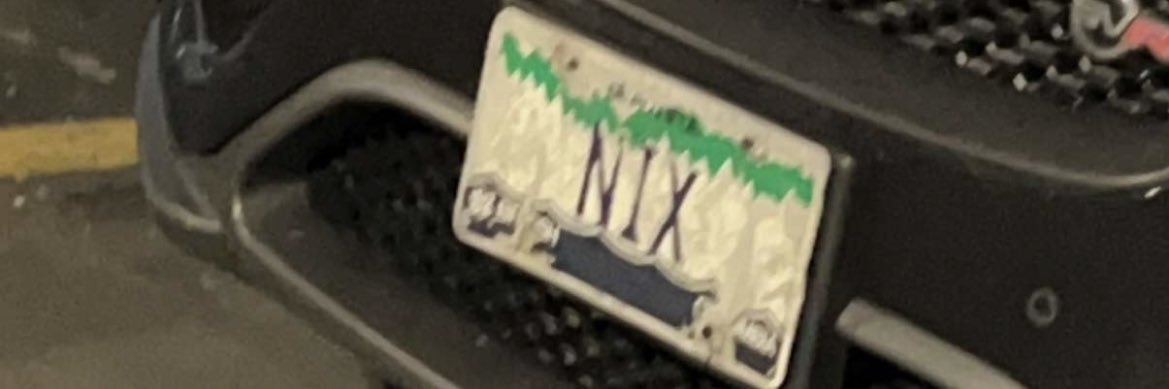 nixlashes's profile banner image