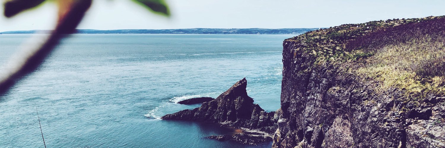 M▲TTHEWC▲RLETON banner