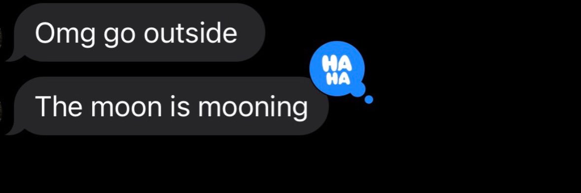 Ashley Silberberg banner