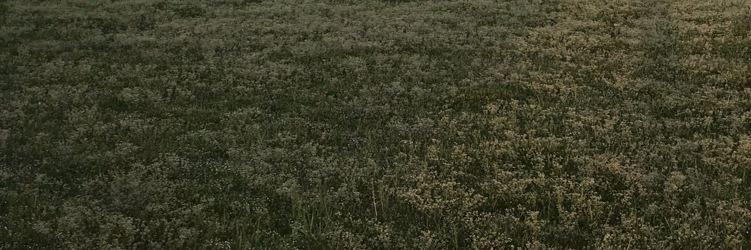 CoachCasper's profile banner image