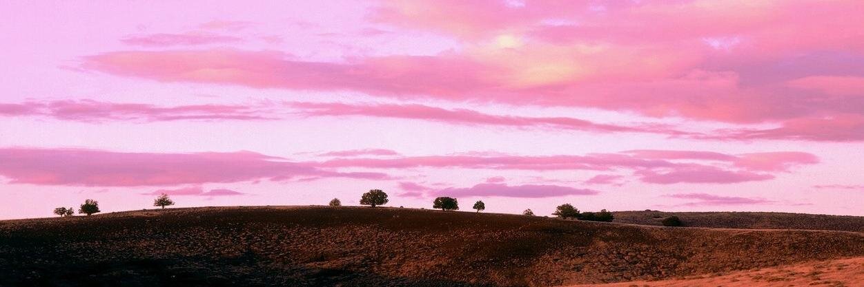 didetmiten's profile banner image