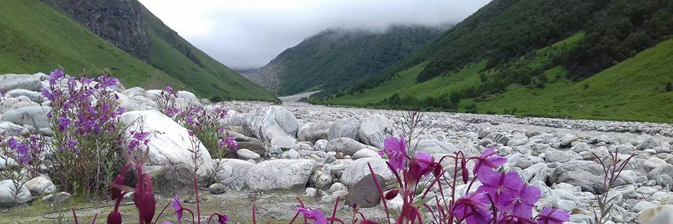 Atanu1968's profile banner image
