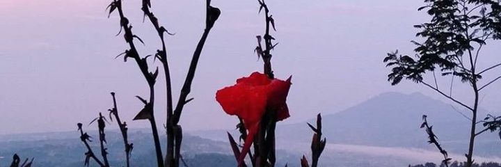 ekifitriii's profile banner image