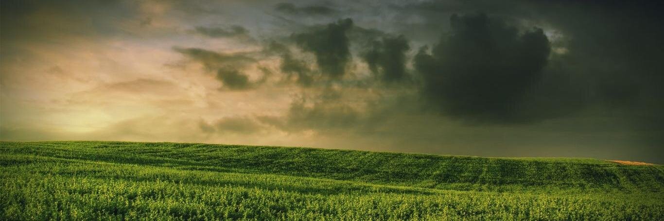 HzRaphael's profile banner image