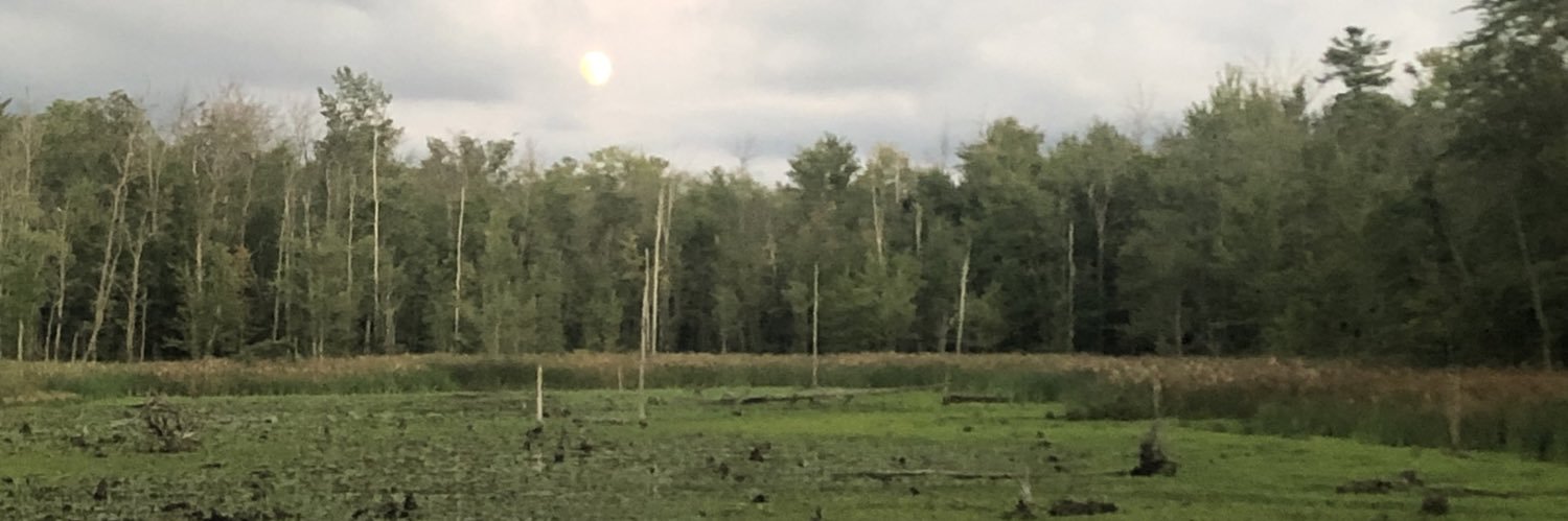 JustLetMePost's profile banner image