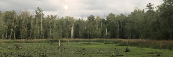 JustLetMePost Profile Banner