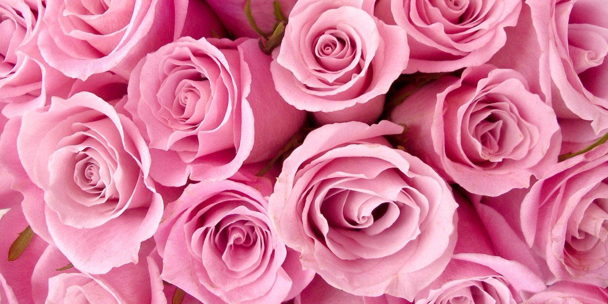 Sweetmandyyy's profile banner image