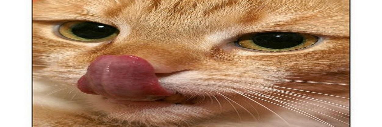 hallsoundsobas's profile banner image