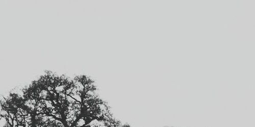 NOVA_KM's profile banner image