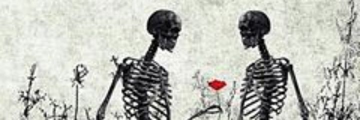 pibitita's profile banner image