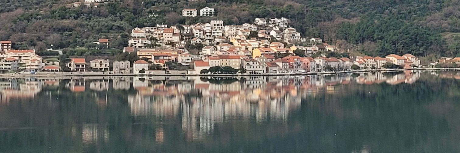 Pınar 🍃🌸 banner