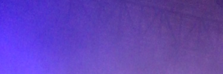 chummychia's profile banner image