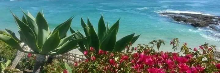 MaryPat822's profile banner image